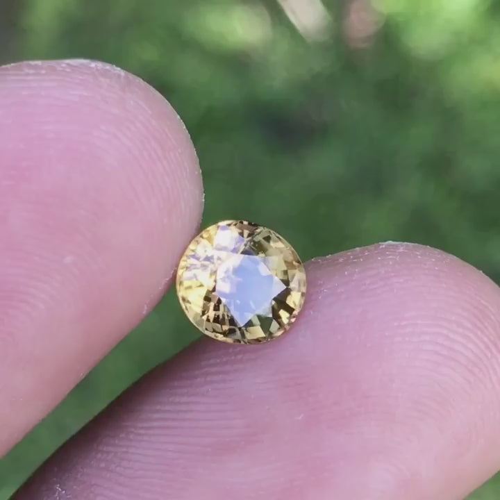 1.72 ct natural honey-yellow zircon from Sri Lanka in round cut, untreated